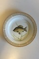 Royal Copenhagen Flora Danica Fish Plate No 20/3549