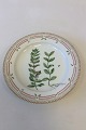 Royal 
Copenhagen 
Flora Danica 
Round Platter 
No 3523.
Latin name: 
Feucrium 
Scordium ...