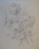 Hernne, 
Elisabeth 
Clausine (19th 
century) 
Denmark: A 
bouquet. Lead 
on paper. Verso 
denoted. 34 x 
...