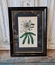 1800s 
hand-colored 
botanical print 
with passion 
flower in 
beautiful old 
black frame 
with narrow ...