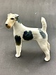 Royal 
Copenhagen 316 
rough-haired 
fox terrier 1st 
black. No. 
401532