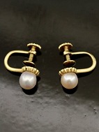 14 carat gold earrings