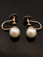 14 carat gold earrings with pear
