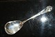 Marmelade spoon 
French lily 
silver
Length 15 cm.
Beautiful and 
well maintained
The cutlery is 
...
