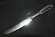 Dinner knife Frijsenborg Silver cutlery
Length 20.5 cm.