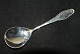 Marmelade spoon 
Frijsenborg 
Silverware
Length 14 cm.
Well 
maintained 
condition
The cutlery is 
...