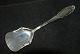 Serving spade Frijsenborg Silverware
Length 17.5 cm.