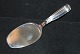 Cake server 
Lotus Silver