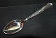Dinner spoon 
Louise Silver
Cohr 
Fredericia 
silver
Length 21.5 
cm.
Used and well 
...