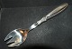 Salad Fork 
Stainless Leaf 
President 
Silver with 
engraved 
initials
Chr. Fogh 
silver
Length 22 ...