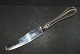 Lunch Knife w / 
saw cut Vallø 
Danish silver 
cutlery
Frigast Silver
Length 20 cm.
Well ...