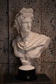 Decorative, old 
plaster plaster 
of the Roman 
god Apollo with 
a fine patina.
H:55cm. 
W:37cm. D:23cm.