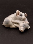 Royal Copenhagen pigs 683