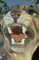 Lynx hissing, 
Dahl Jensen 
porcelain 
figurine. Lynx 
no. 1081. 
height 16cm. 6 
5/16 inches. 1. 
...