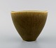 item no:
426351 item no:
426351