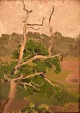 J.S. Tojstov, 
Russia. Oil on 
canvas. 
Landscape with 
treetop. Dated 
1929.
The canvas 
measures: ...