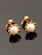 18 carat ear studs with pearl
