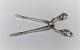 Georg Jensen. 
Silver cutlery. 
Sterling (925). 
Akorn. Sugar 
tongs. Length 9 
cm.
