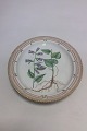 Royal Copenhagen Flora Danica Flora Danica Serving Platter No 3518