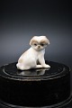 item no:
B&G# 1987. pekingeser hvalp item no:
B&G# 1987. pekingeser hvalp