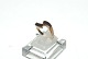 Elegant Ladies' 
Ring in 8 carat 
gold
Stamped KL KL
Size 57
The check by 
the jeweler and 
the ...