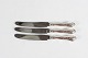 Rosenborg 
Silver Flatware 
by A. Dragsted 
Dinner knives 
with long blade 
of stainless 
...