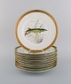 10 Royal Copenhagen fisketallerkener i porcelæn med håndmalede fiskemotiver og 
gulddekoration. Fauna Danica stil. Dateret 1960.
