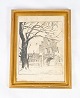 Drawing with gilded frame from the 1930s. 36 x 28 cm.