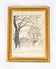 Drawing with 
gilded frame 
from the 1930s. 

36 x 28 cm.