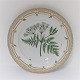Royal Copenhagen Flora Danica. Dinner plate. Design # 3549. Diameter 25 cm. (1 
quality). Myrrhis odorata Scop