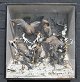 Antique diorama 
with silk 
tails, 19th 
century 
Germany. In 
painted and 
tapesed wooden 
box. 50 x ...