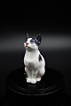 Small porcelns 
cat from Dahl 
Jensen.
Dekorations 
number: DJ 
1329. 1.Sort. 
H:9,5cm. Is 
intact and ...