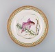 Royal Copenhagen Fauna Danica fish plate in hand-painted porcelain with fish and 
gold decoration. Model number 19/3549.
