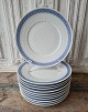 Royal 
Copenhagen Blue 
Fan dinner 
plate 
No. 11519, 
Factory first
Diameter 25.5 
cm. 
Stock: 17