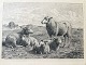 Klicken Sie 
auf ein 
Foto, um 
das große 
Bild sehen