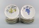 Kronach, Germany. 14 porcelain plates with hand-painted fruits. 1940s.
