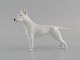 Royal Copenhagen porcelænsfigur. Engelsk bull terrier. Dateret 1957.
