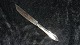 Cheese knife 
#Lad # Silver 
stain
Length 20.2 cm 
approx
Nice and well 
maintained 
condition