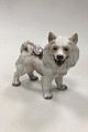 Dahl Jensen 
Figurine 
Greenlandic Dog 
/ Samoyed Dog 
No 1082. 
Measures 16.5 x 
18 cm (6 1/2 x 
7 ...
