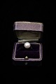 Fine old ring 
in 14 carat 
white gold with 
large fine 
pearl.
Ring size 56.