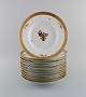 Tolv Royal Copenhagen Guldkurv dybe tallerkener i porcelæn med blomster og 
gulddekoration. Modelnummer 595/10515. Tidligt 1900-tallet.
