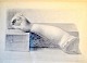 Tornøe, Wentzel 
(1844 - 1907) 
Denmark: Sketch 
- an arm. Lead 
on paper. Verso 
stamped. 22 x 
30 ...