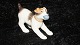 Royal Copenhagen TerrierDek nr #743SOLD