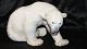 Bing and Grondahl Polar Bear
Deck # 1857
Knud Kyhn
Height: 21 cm.
Length 33 cm.