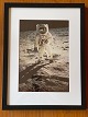 Original NASA color offset photography / photo print from 1969 by Edwin "Buzz" Aldrin during the ...