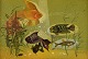 Ove Persson (1925-1999), Swedish artist. Oil on board. "Aquarium". Late 20th 
century.
