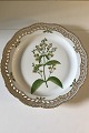 Royal 
Copenhagen 
Flora Danica 
Large Round 
Pierced Tray No 
20/3528. Latin 
name: 
"Lysimachia ...