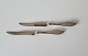 Split lily 
fruit knife in 
silver 
Stamped the 
three towers
Length 16.5 
cm.
Stock: 2