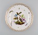 Antique and rare Meissen porcelain plate with hand-painted birds, insects and 
gold decoration. 19th century.
