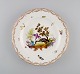 Antique and 
rare Meissen 
porcelain plate 
with 
hand-painted 
birds, insects 
and gold 
decoration. ...